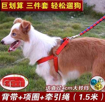 狗狗牵引绳胸背带狗链遛狗绳大中小型犬项圈泰迪金毛拉布拉多萨摩