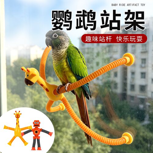 鹦鹉站架吸盘式虎皮玄凤鸟车载站架小太阳和尚鹦鹉站杆定点排便