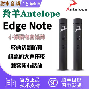 羚羊Antelope Note乐器录制麦克风电容AMSR小振膜电容话筒 Edge