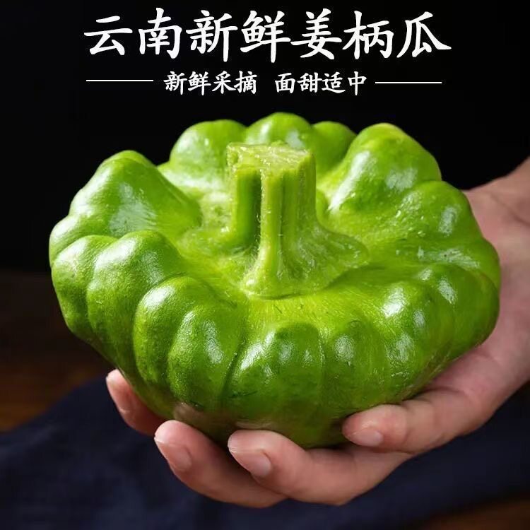 （包邮）云南新鲜姜柄瓜姜饼瓜姜柄瓜小南瓜甜瓜小绿瓜特产嫩南瓜