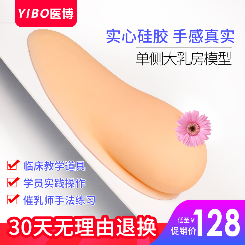 乳房模型教具催乳师培训乳房模型模J具教学女性仿真乳房硅胶