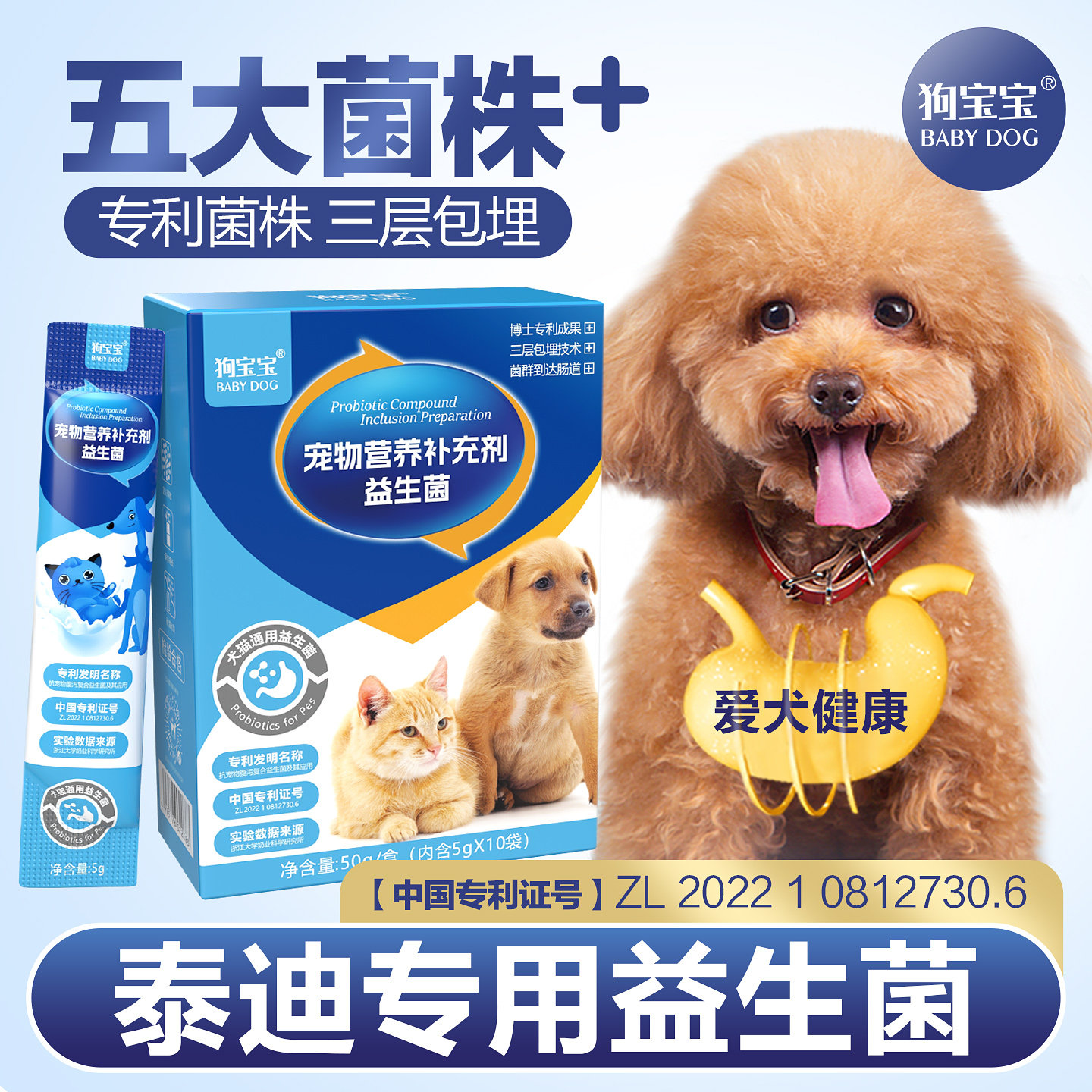 泰迪专用益生菌宠物狗狗图片