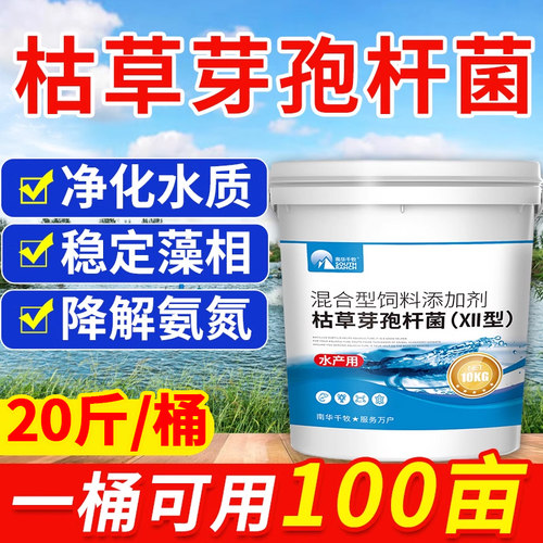 枯草水产养殖小龙虾鱼塘