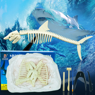 博物館考古盲盒考古挖掘玩具手工diy兒童化石鯊魚骨架挖掘玩具3歲