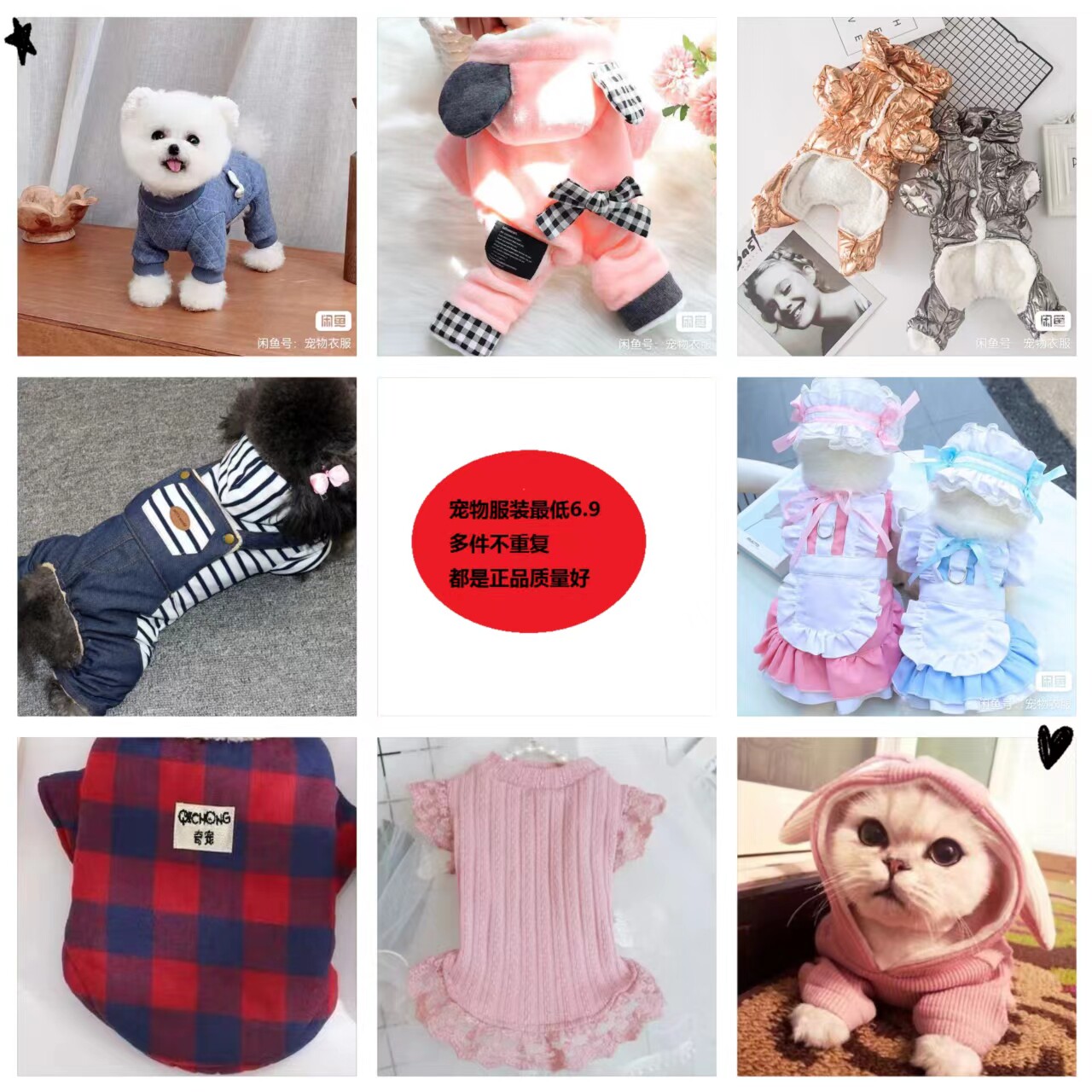 宠物狗狗猫咪泰迪比熊博美雪瑞纳秋冬装两腿四腿衣服福袋幸运盲盒