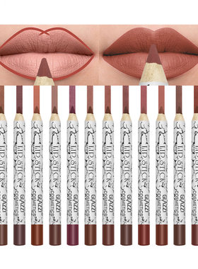 Lipstick pen lip liner set 12 colors 口红笔 唇线笔12色套装
