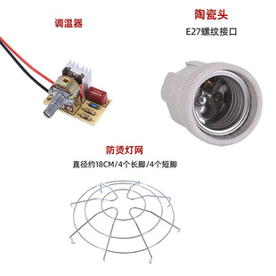 美容院红外线理疗灯泡专用配件调温器陶瓷灯头灯座灯泡网外壳灯罩