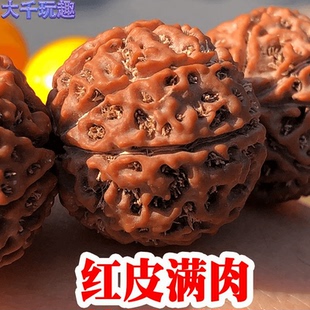 红皮原籽金刚菩提手串男士女大金刚菩提子佛珠手串子7七8八瓣念珠