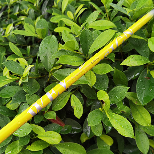 WEV一号木杆身超远距离易打