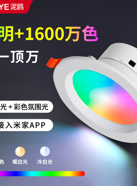 彩色筒灯嵌入式七彩RGBCW全彩射灯氛围灯小已接入米家APP智能筒灯