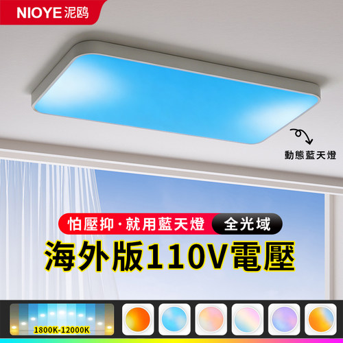 110v吸顶灯客厅灯自然光青晴空灯