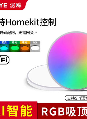 电竞房吸顶灯小尺寸卧室支持HomeKit苹果Siri七彩智能超薄吸顶灯