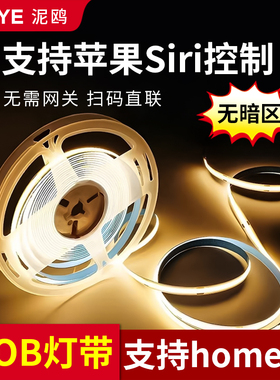 三色变光灯带cob双色家庭智能支持苹果Siri语音控制HomeKit灯带