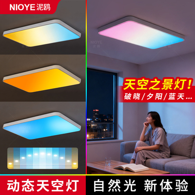 动态天境灯客厅灯青晴空吸顶灯