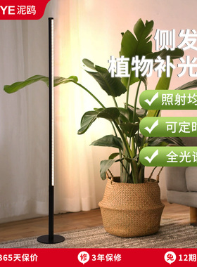 植物补光灯落地全光谱室内模拟仿太阳侧发光定时家用绿植物生长灯