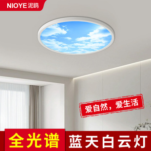 蓝天白云灯卧室吸顶灯超薄天空灯玄关走廊过道圆形书房间青晴空灯