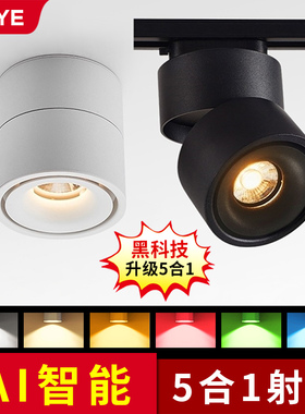 彩色射灯氛围灯明装可调角度rgbcw客厅家用七彩筒灯轨道智能射灯