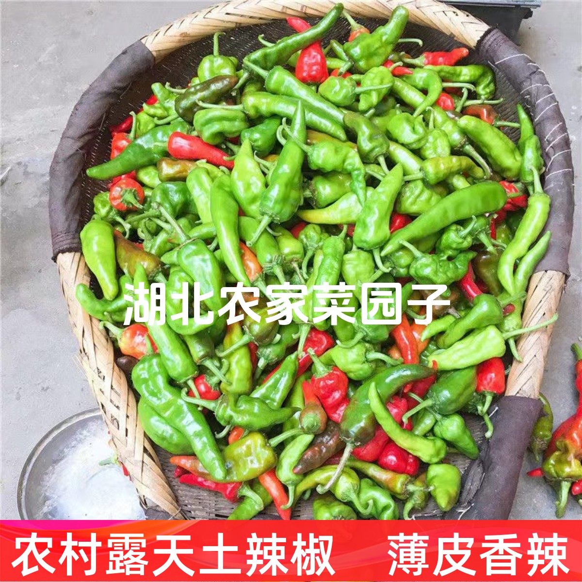 新鲜土辣椒青红辣椒随机　