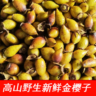 重庆新鲜现摘野生金樱子刺梨新鲜果金刺梨水果打果汁泡酒泡茶水