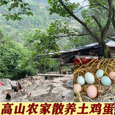 正宗新鲜农家散养现捡土鸡蛋30枚