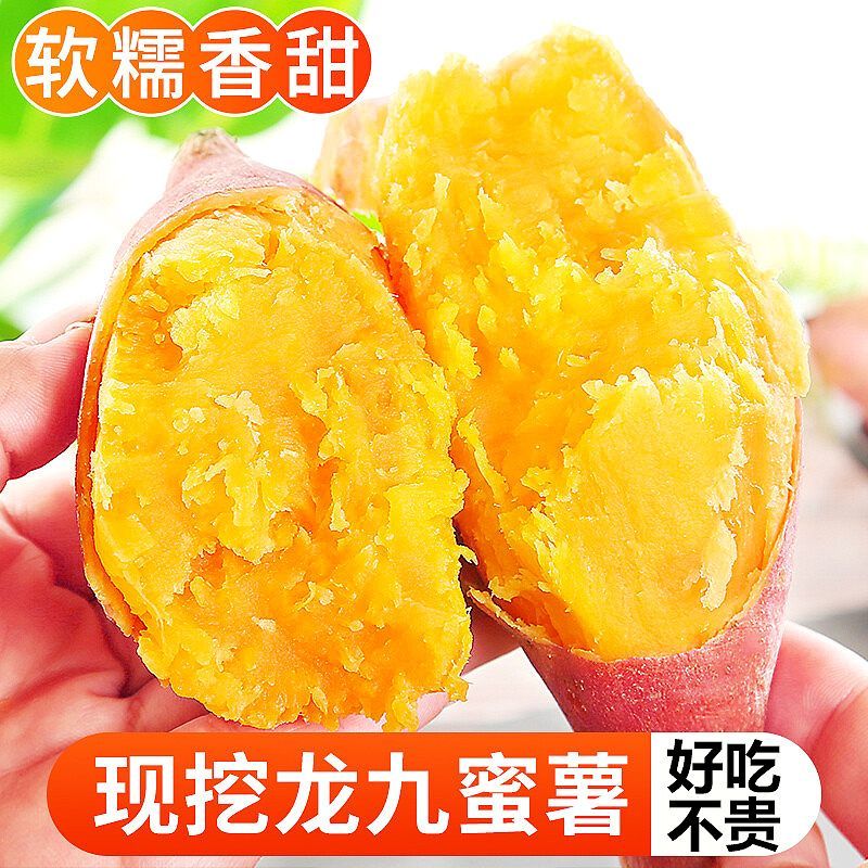 新鲜龙九黄金红蜜薯黄心软糯香甜