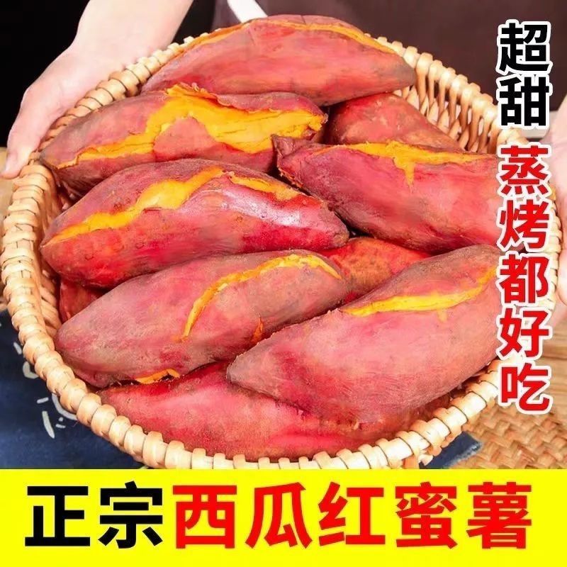 26年新鲜沙地瓜蜜薯红皮粉糯香甜