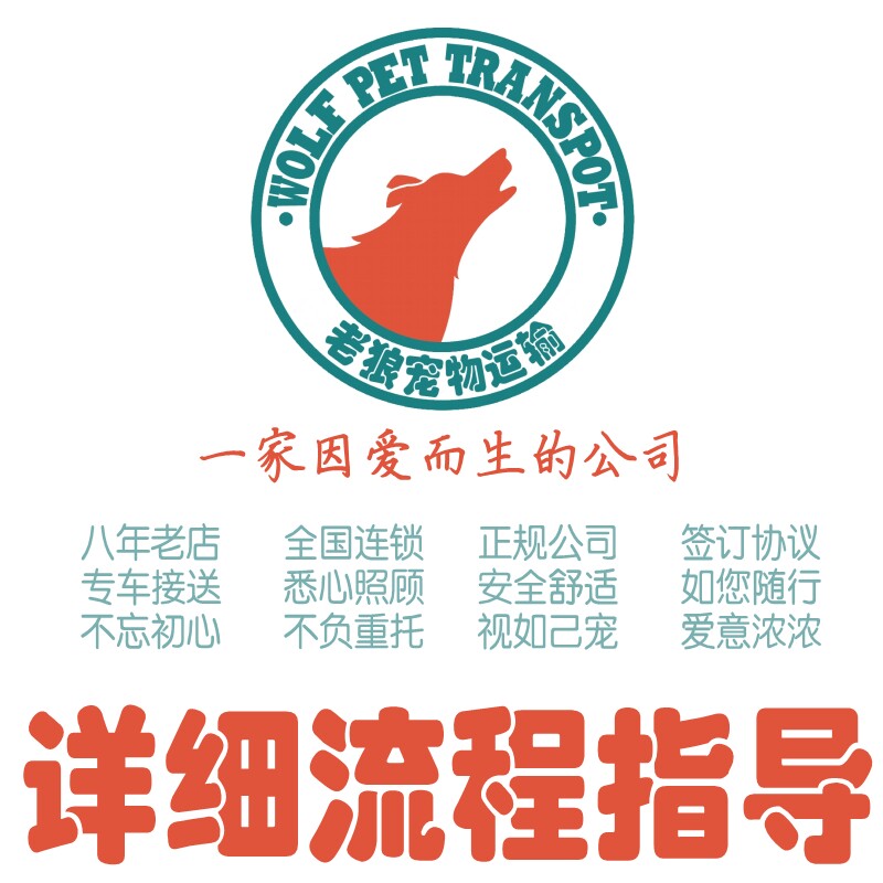 宠物托运手续办理指导咨询
