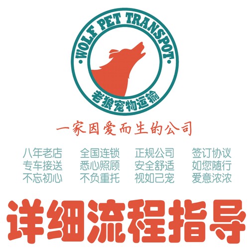 宠物托运手续办理指导咨询