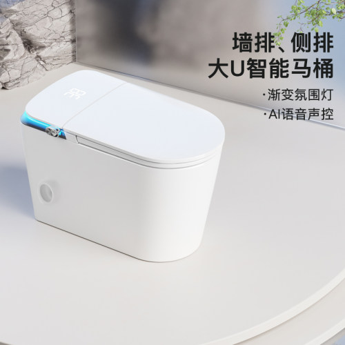 一体式智能马桶无水压限制