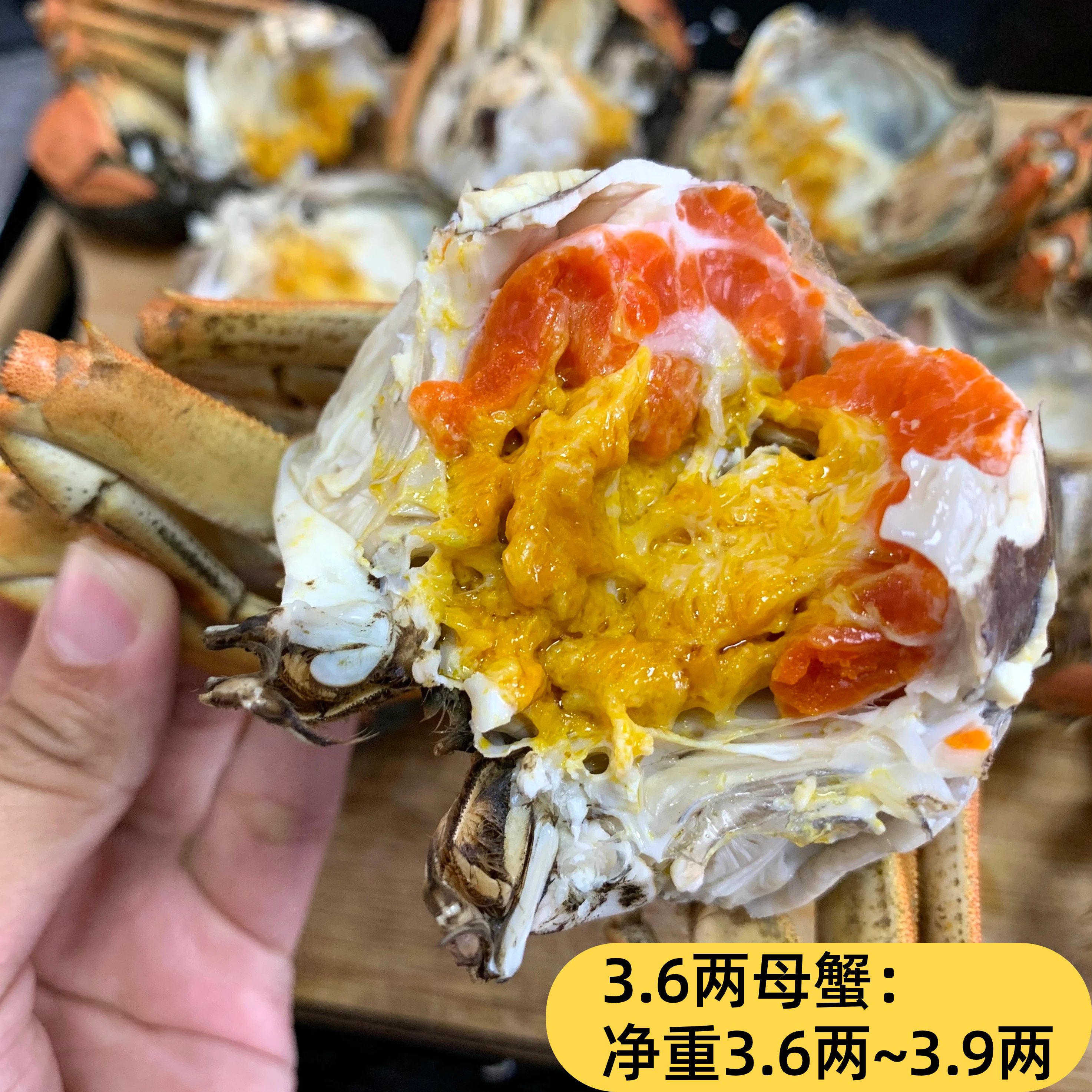 【活蟹3.6两母蟹】萧六十六郎大闸蟹高品质精选活蟹(净重±15g)