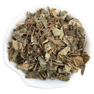 平地木中药材别名叶下红叶底红矮脚樟矮脚草地茶中药材