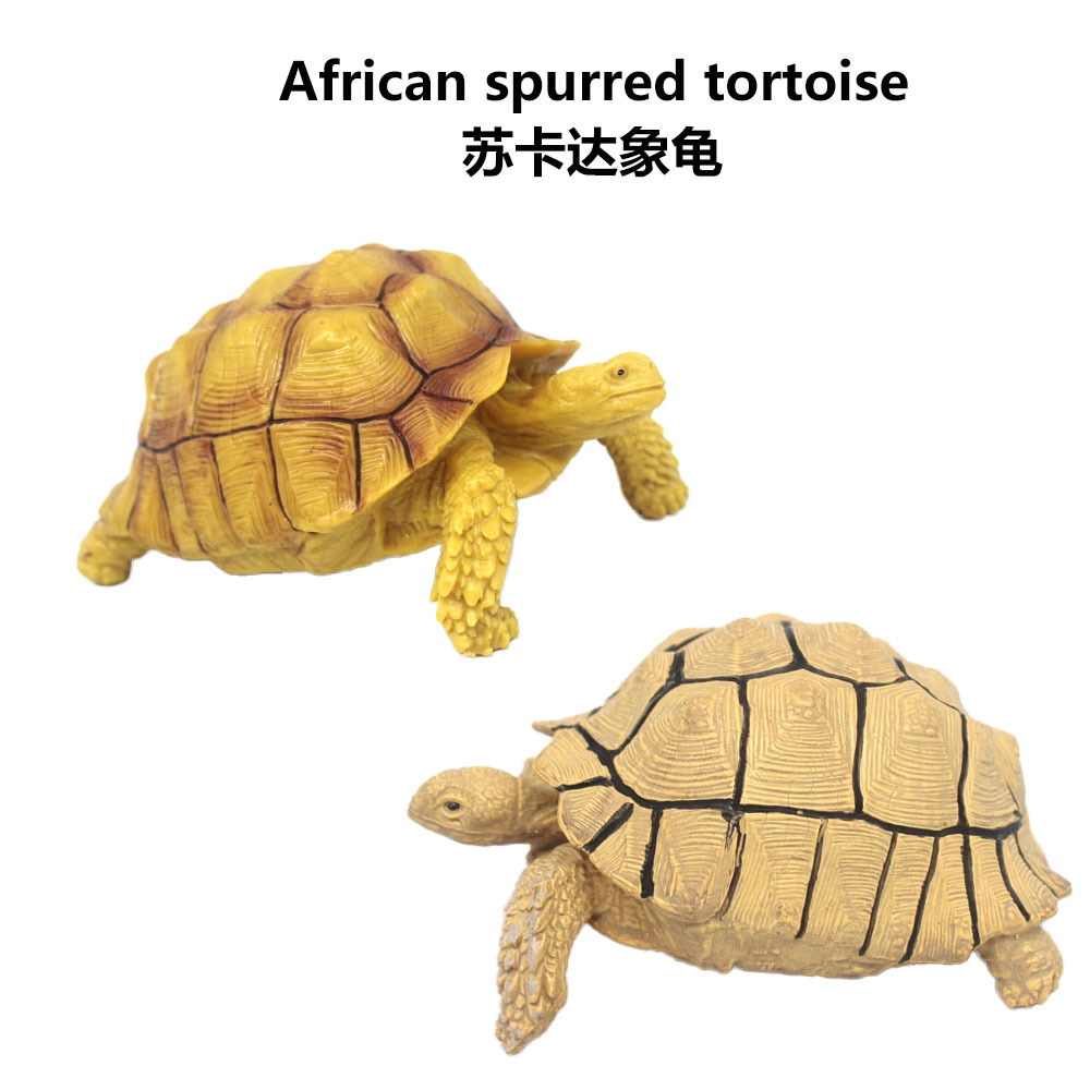 仿真实心PV海洋动物模型苏卡达龟玩具摆件认知礼物
