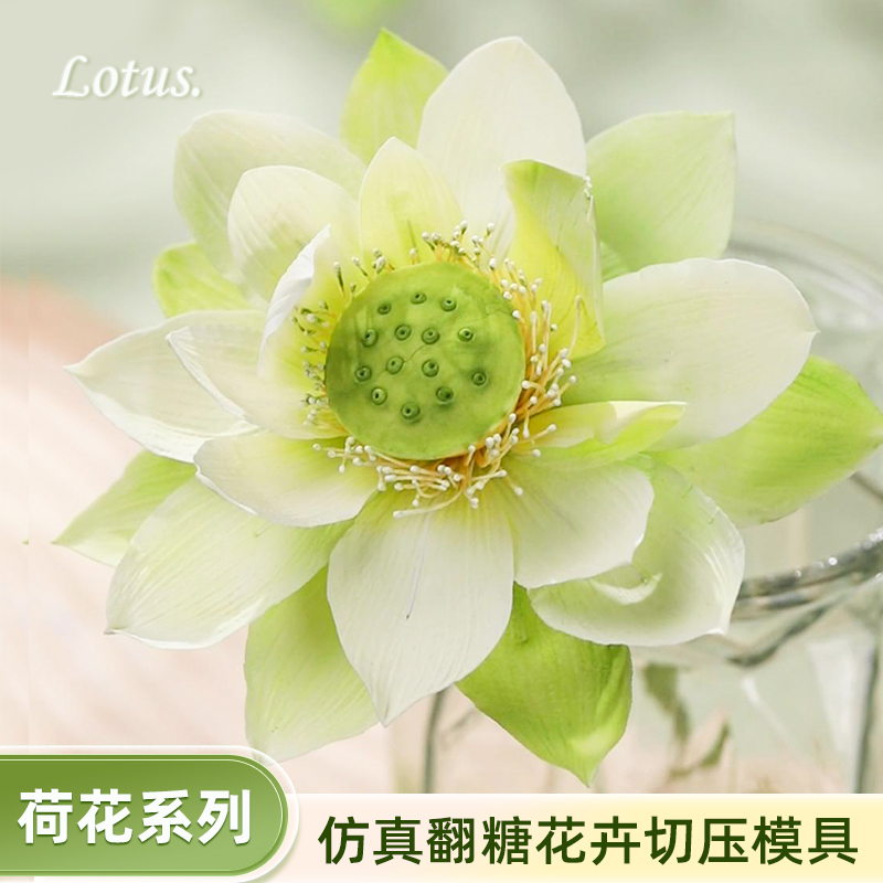 荷花硅胶模具不锈钢切模具