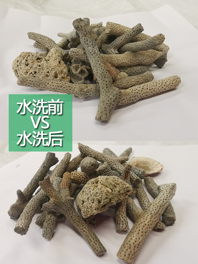 鱼缸珊瑚骨精选珊瑚石砂鱼海鲜池养殖过滤材料底沙调节PH值送网袋