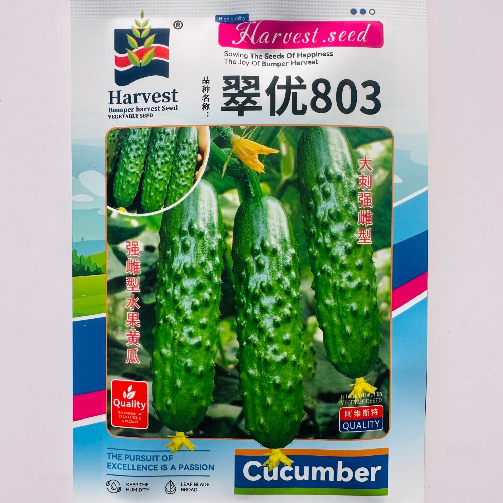 蓟农 翠优803强雌型水果黄瓜种子清香脆甜抗病大刺黄瓜种籽春秋播