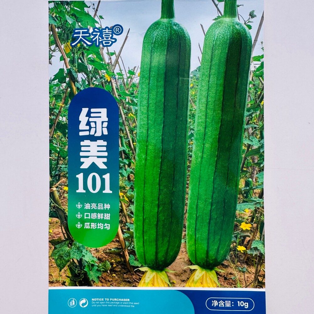 天禧绿美101绿油亮丝瓜种子肉厚味甜高产杂交圆筒形丝瓜种籽孑