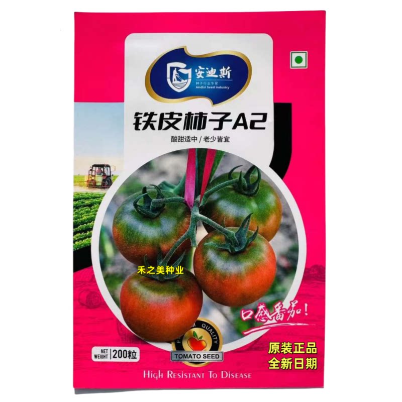 正宗铁皮柿子东北铁皮柿子西红柿种子水果草莓番茄种籽酸甜可口