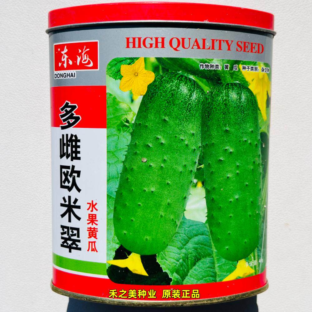 多雌欧米翠黄瓜种子强雌型高产水果短棒黄瓜种籽薄皮绿瓤早熟短把