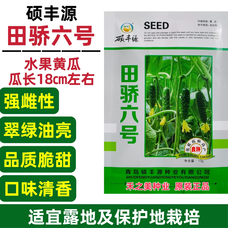 田骄六号水果黄瓜种子脆甜清香强雌性旱黄瓜翠绿油亮耐热黄瓜种籽