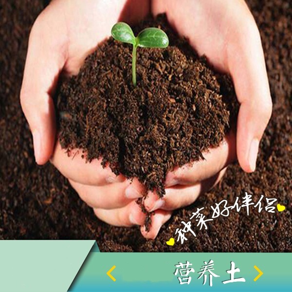 营养土包邮种菜专用质的种植土栽培土育苗土蔬菜盆栽
