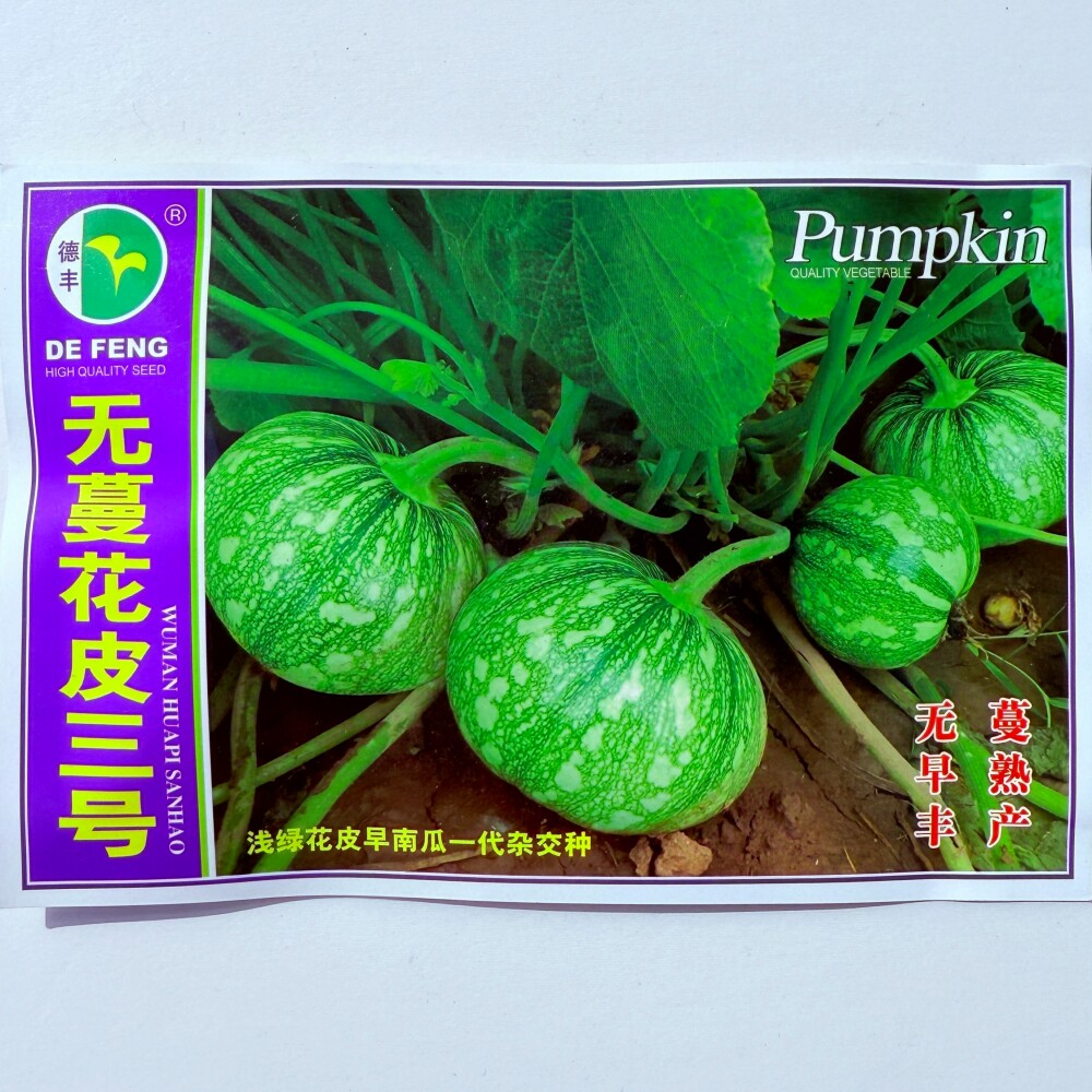 德丰无蔓花皮三号浅绿花皮南瓜种子早熟高产西葫芦种籽农家春季播