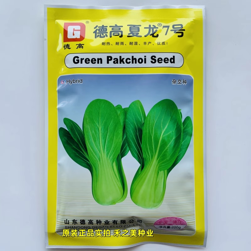 德高夏龙7号青梗菜种籽耐热耐雨优质杂交青菜白菜种子春夏秋季播
