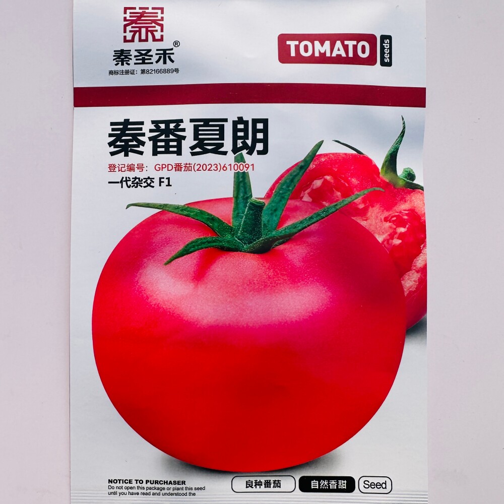 秦番夏朗粉红番茄种子 抗病毒病无限生长大果西红柿种籽 春夏秋播