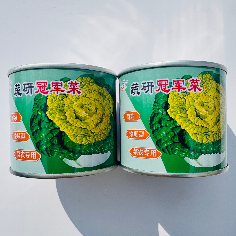 蔬研冠军菜黄心菜种子高产耐寒黄心乌塌菜种籽矮颗型农家秋冬季播
