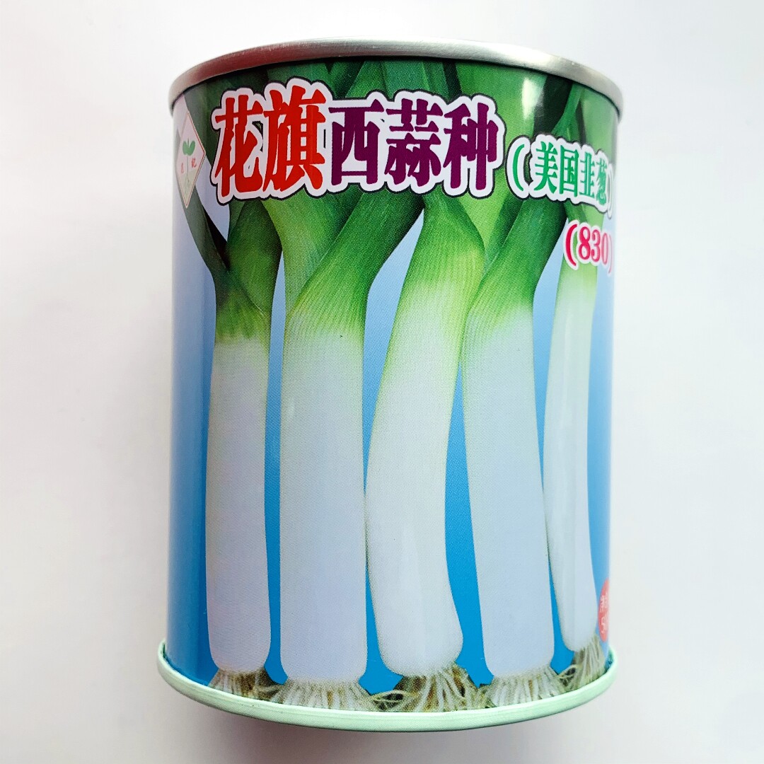 花旗西蒜种子大蒜韭葱种籽中早熟蒜苗种子大田用种农家春秋季播种
