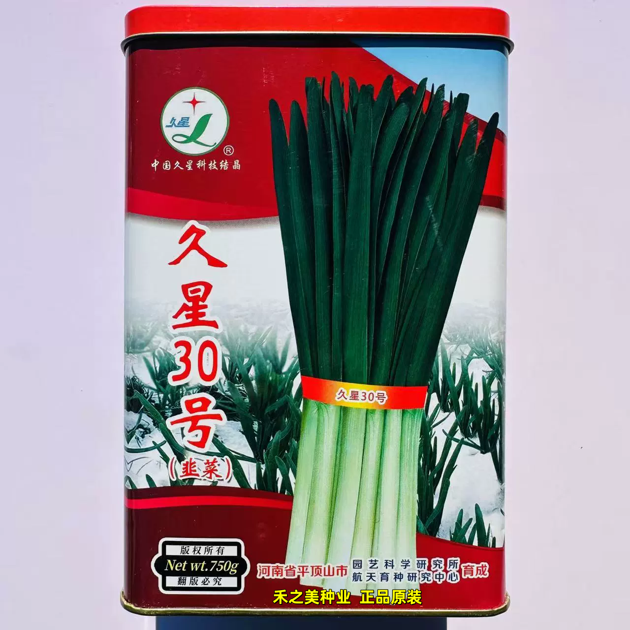 久星30号韭菜种子特抗寒抗病冬季不休眠新品种河南平顶山韭菜种籽