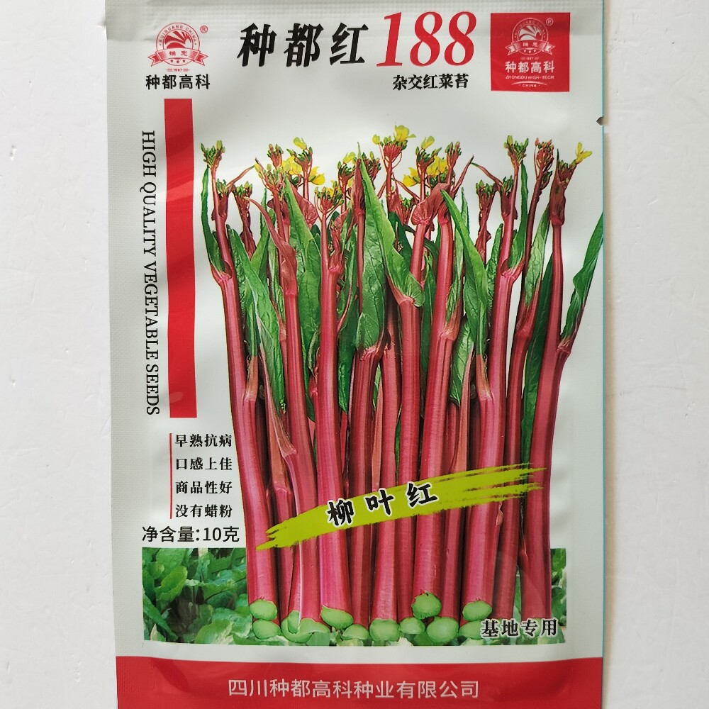 种都红188红菜苔种子早熟耐寒高产叶小苔多红油菜苔种籽秋季播种