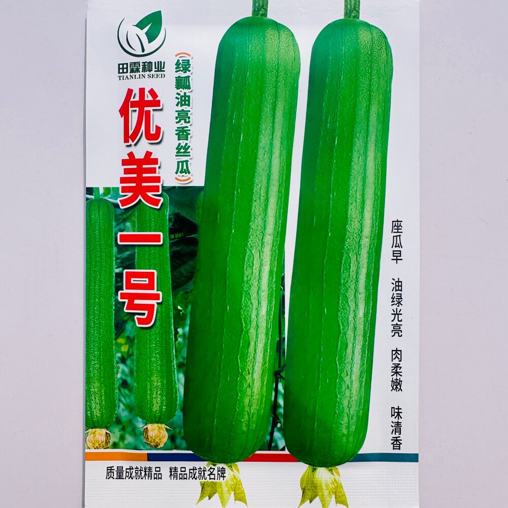 优美一号绿瓤油亮香丝瓜种子高产早熟果肉细嫩清香长棒形丝瓜种籽