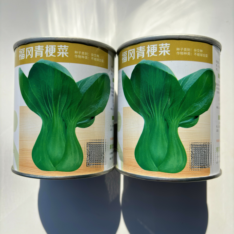 福冈青梗菜种子早生不结球白菜耐温耐湿丰产束腰青菜种子四季播种