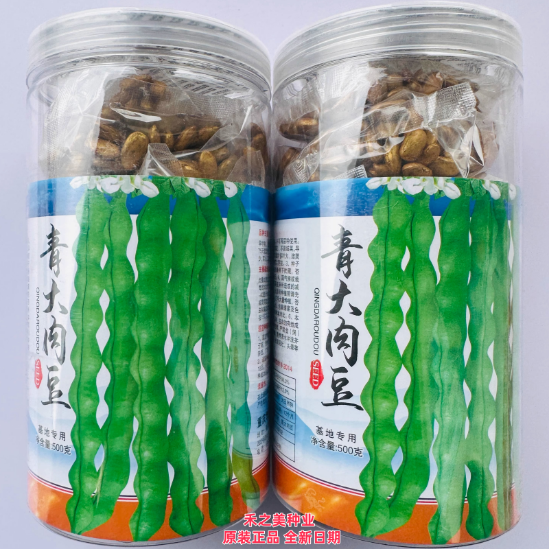青大肉豆种子青荚肉厚早中熟四季豆肉豆大田基地春秋季播蔬菜种孑